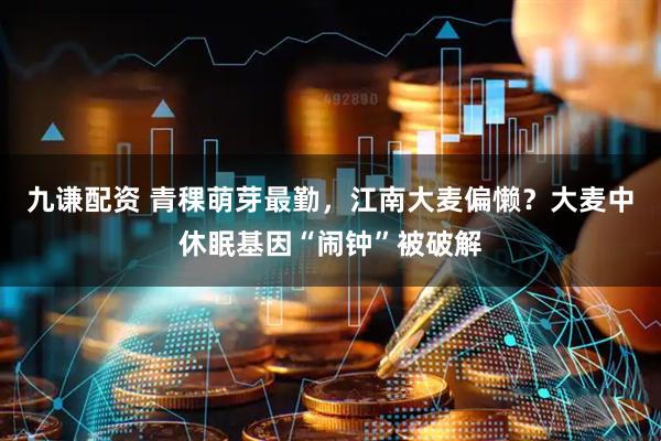 九谦配资 青稞萌芽最勤，江南大麦偏懒？大麦中休眠基因“闹钟”被破解